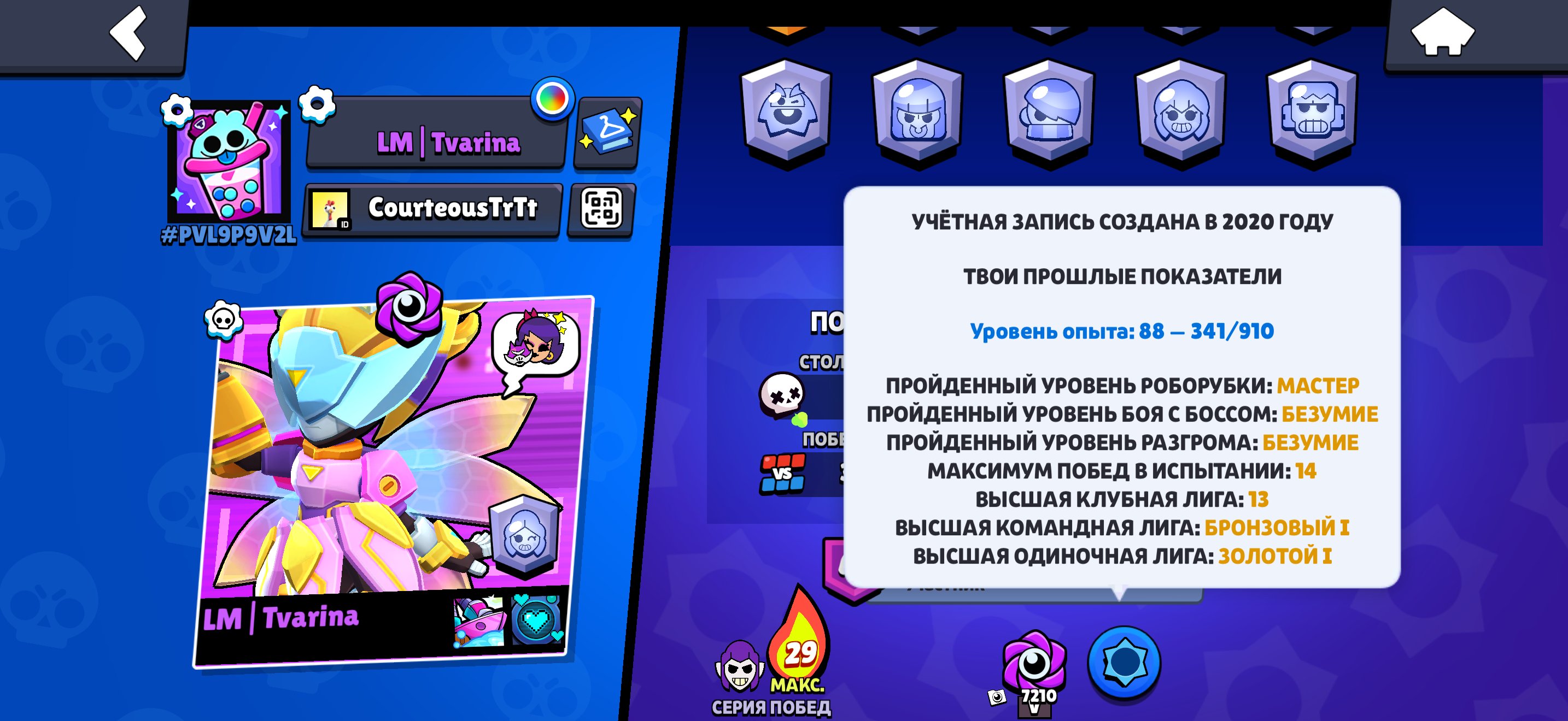 Personal account |2020 year|, trophies 20633, brawlers 90