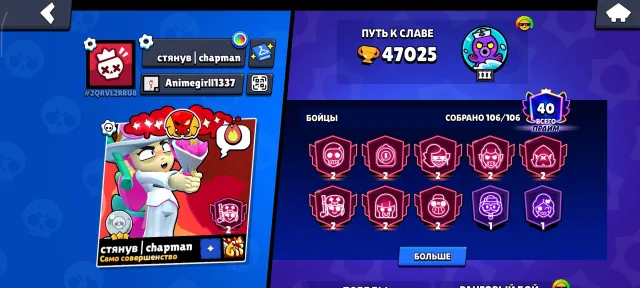 Good leveled account for a pleasant game! Lots of 11 power and primes, 47000 trophies, 106 brawlers, 40 primes