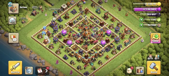 🏰 TH17 👑 Heroes 91/95/51/66/45/14💎 100% max 🌸 10 skins ⭐ 10 Epic gear, 16 TH Home Village, 9 TH Builder Base
