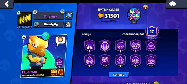 Many skins/many ranks, 31501 trophies, 108 brawlers, 17 primes