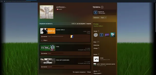 Personal account for foundation VERIFICATION PASSED 2200 Matches 10 lvl 2200elo, Sale, Inventory empty, Has PRIME, FACEIT, 2200 ELO, Registered: Yes