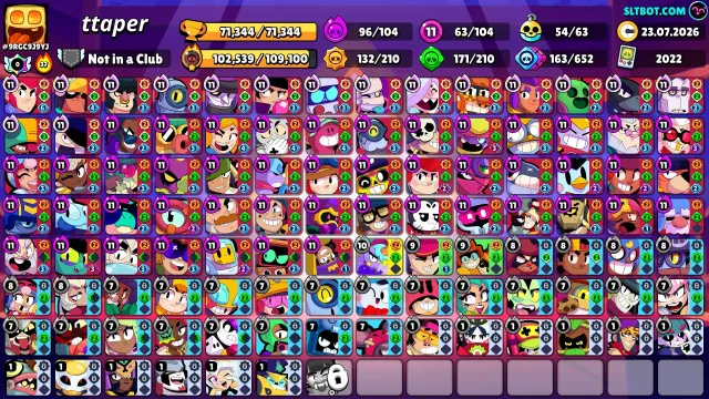 Personal account with lots of donations. More details and photos in DM., trophies 71300, brawlers 104, primes 45