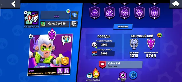 🖤 АККАУНТ 2020 ГОДА🖤 ⭐️【 𝐁𝐑𝐀𝐖𝐋 𝐒𝐓𝐀𝐑𝐒 】⭐️ ~ 🔥【 41000 КУБКОВ / 103 БРАВЛЕРА 】🔥 ~ ✅ ПЕРЕПРИВЯЗКА ✅, 41006 кубков, 103 бравлеров, 14 праймов