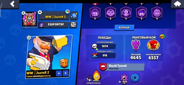 🎆🎆🔥Top account for its price🔥🎆🎆, 24203 trophies, 73 brawlers, 17 primes