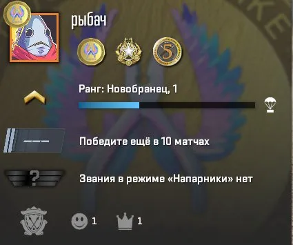 PRIME | INVENTORY 1900 RUBLES | 8 RANK | FULL REBINDING | 100% GUARANTEE, Sale, Available, Yes PRIME, Competitive