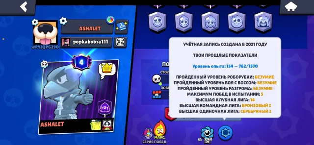 🔥Fat account (many silver and expensive skins), 32256 trophies, 95 brawlers, 4 primes