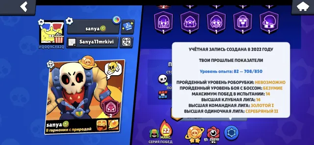 Account since 2022, 53555 trophies, 106 brawlers, 20 primes