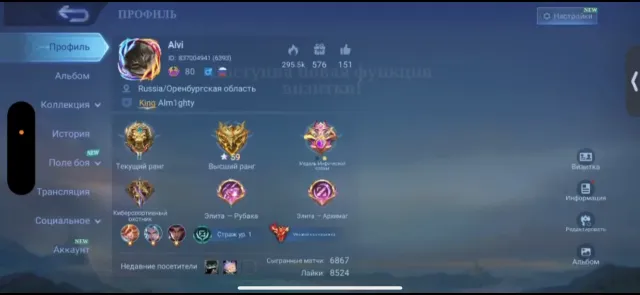 ❤️WORLD COLLECTOR❤️9 YEARS, 35 EVENTS, A LOT OF COLLECTORS, ETC., REVIEW👇, Sale, Rank: Legend, Level: 110, Winrate: 49%, Heroes: 133, Skins: 685