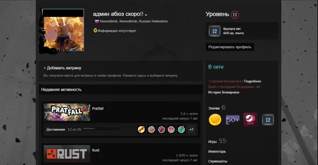 🔥 CS2 PRIME [850h] • 🏅4 МЕДАЛИ (🥇10 ЛЕТ) • 🎯48 ТОП ИГР • 💎11 LVL STEAM • 🔓NO FACEIT, Продажа, С инвентарем, Есть PRIME