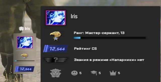 🔵AUTO-DISTRIBUTION🔵CS2 Account🔵PREMIER🔵12.544 cs rating🔵10 lvl Steam🔵PRIME🔵, Sale, Empty, Yes PRIME, 12544 CS Rating, Competitive