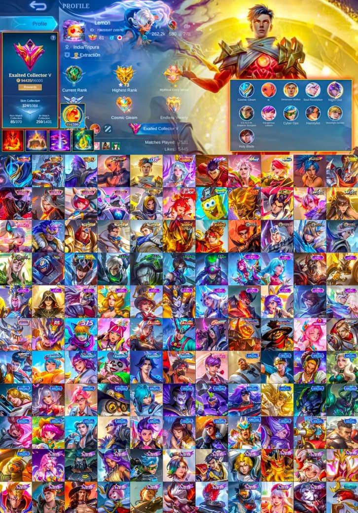 Gus full set and yashin collector and many more skins, Sale, Rank: Epic, Level: 81, Winrate: 50%, Heroes: 110, Skins: 324