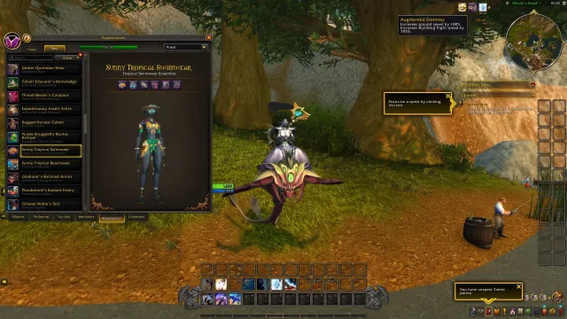 WoW Midnight| 300+ MOUNTS | 315 PETS | 22K+ ACHIEVEMENTS Rogue 90 ilvl 263 with 20+ lvl 80 toons, 90 уровень, Эльфы Бездны, Разбойник