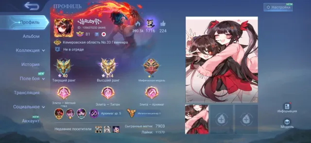 Top account for its price, Sale, Rank: Mythical Immortal, Level: 81, Win rate: 55%, Heroes: 132, Skins: 431