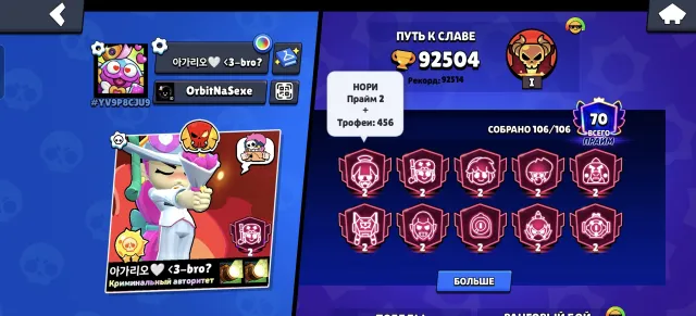 Top account for its price, many skins, a lot of BP bought, 92000 trophies, 106 brawlers, 70 primes