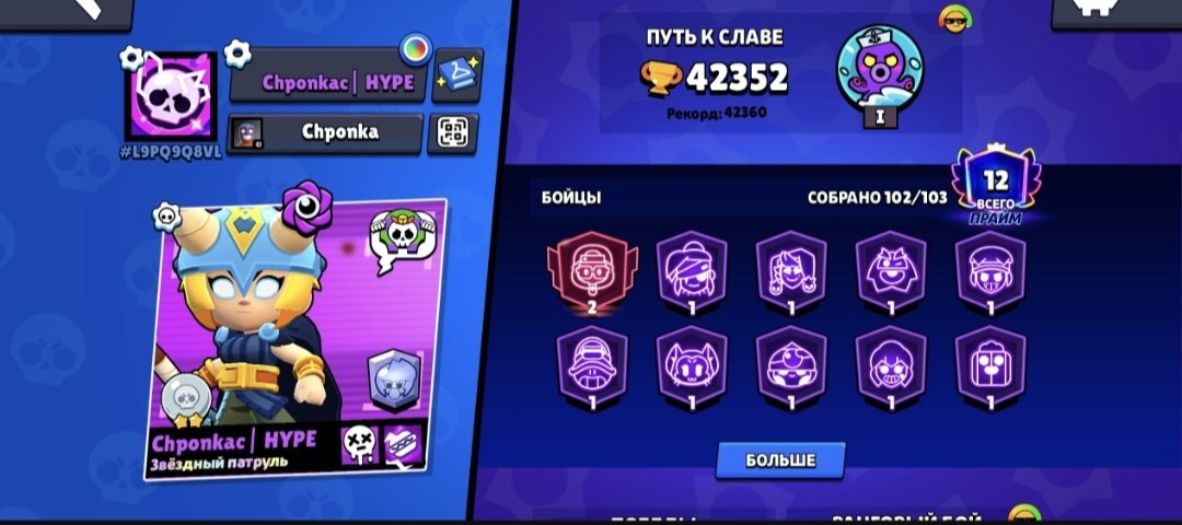 akkaynr kssksbsbsbdbdbdnsnsnsnn, trophies 45000, brawlers 102, primes 13