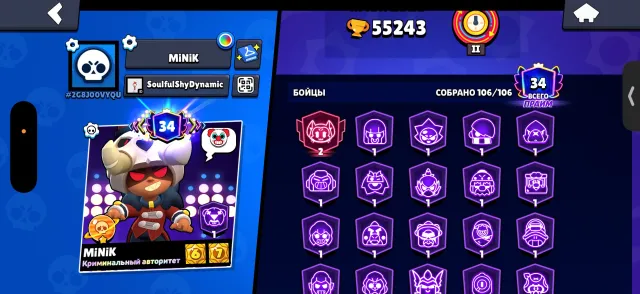 🌲OLD ACCOUNT DETAILS IN SCREENS🌲, 55243 trophies, 116 brawlers, 34 primes