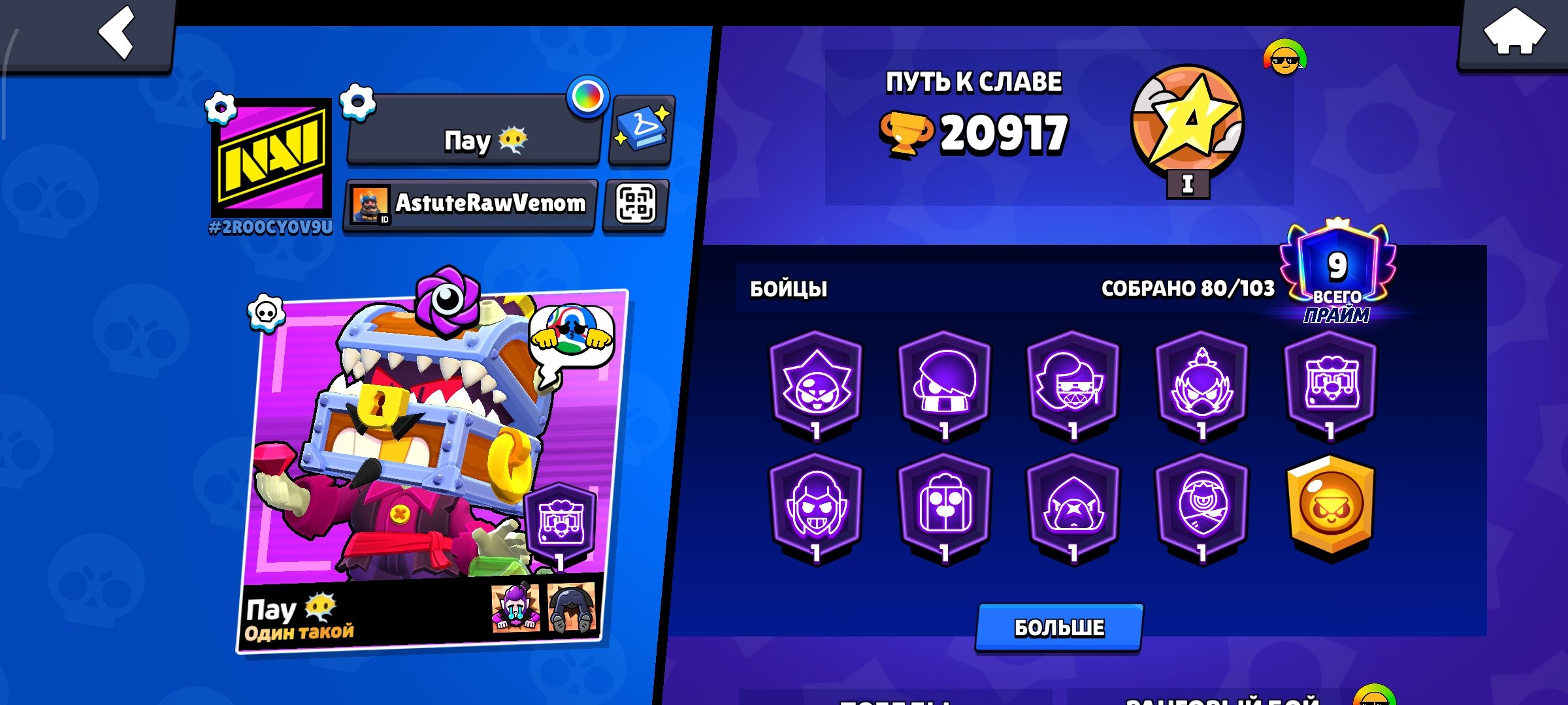 [Brawl Stars] 14 warriors with maximum rank, trophies 20917, brawlers 80, primes 9