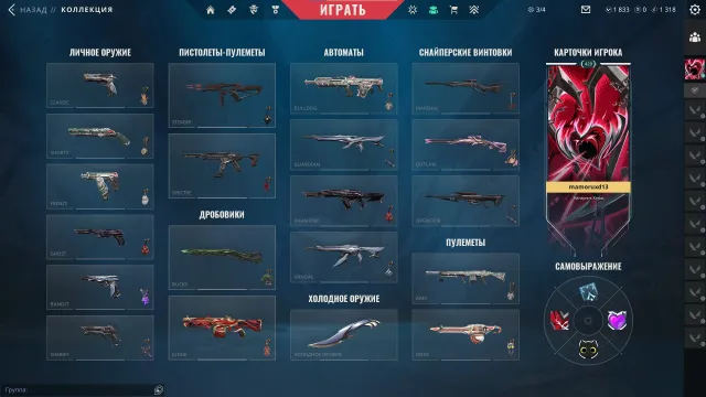 personal account with a lot of donations and limited skins, Sale, Under calibration, Agents: 29, Skins: 344