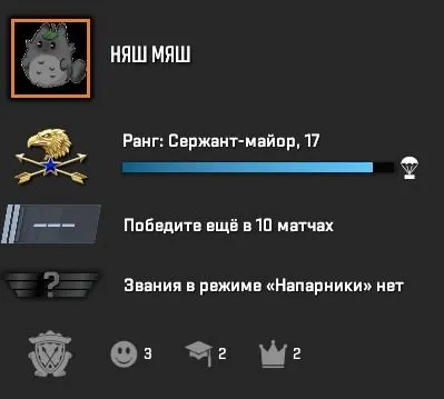 PRIME | 17 RANK | FULL REBINDING | 100% GUARANTEE, Sale, Inventory empty, Has PRIME, Competitive