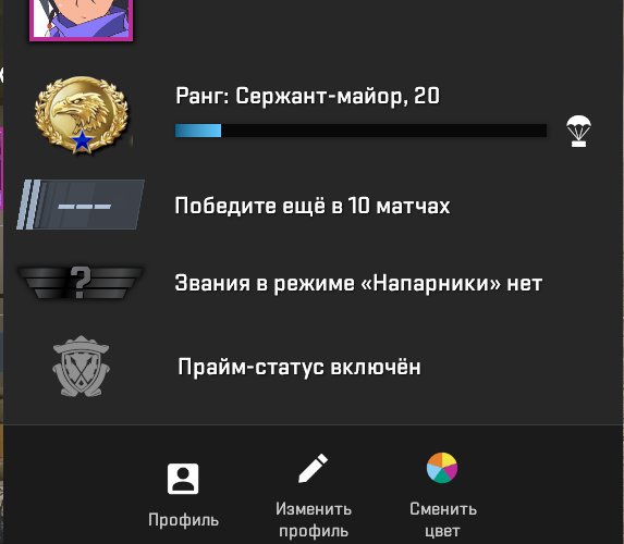 CS2 Prime ✅ PREMIER OPEN ✅ 95 hours ✅ 20th rank ✅ No limit $5 ✅ Faceit is not tied, Sale, Empty, Yes PRIME, FACEIT, With registration: No