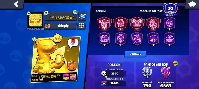Not just 63K: 107/107, 30 primes. Read the description, 63 trophies, 107 brawlers, 30 primes
