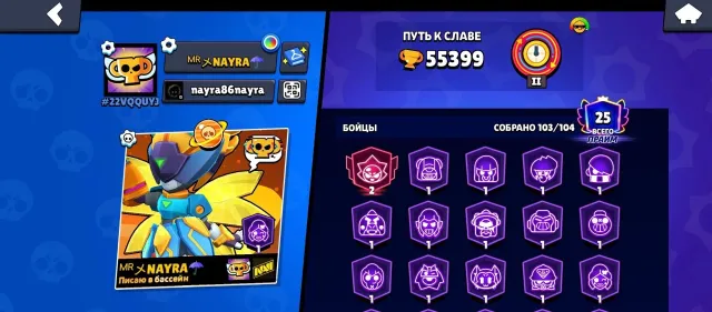 🏆 55,400 TROPHIES 🏆✨🎮 104 CHARACTERS 🎮✨🌈🌊 25 PRIME ITEMS 🌊🌈✅ A VERY VALUABLE ACCOUNT , trophies 55400, brawlers 104, primes 25