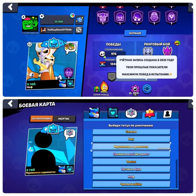 💎ACCOUNT FOR THE BASIS+4BP💎25K🏆💎TOP PUMPING💎180+ SKINS(SANTA-STU, KNIGHT DAG)💎DESCRIPTION⬇️, trophies 25556, brawlers 82, primes 13