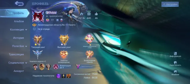 Selling my personal account as I am leaving the game., Sale, Rank: Mythic, Level: 77, Winrate: 48%, Heroes: 133, Skins: 228