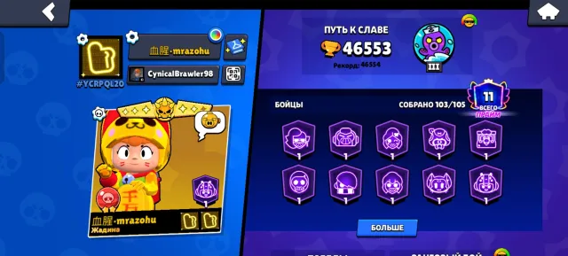 PERSONAL ACCOUNT 2019 A LOT OF SKINS DESCRIPTION, 46553 trophies, 103 brawlers, 11 primes