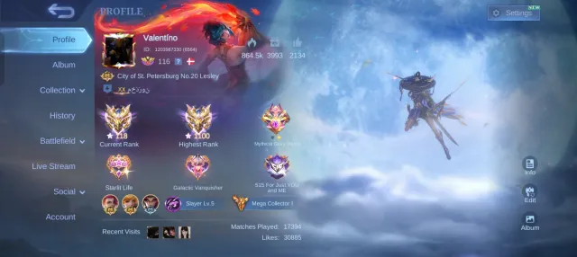 1100 stars max, frame 5k, VR rank 70+, best skins for assassins and marksmen, Sale, Rank: Mythical Immortal, Level: 116, Win rate: 74%, Heroes: 120, Skins: 499