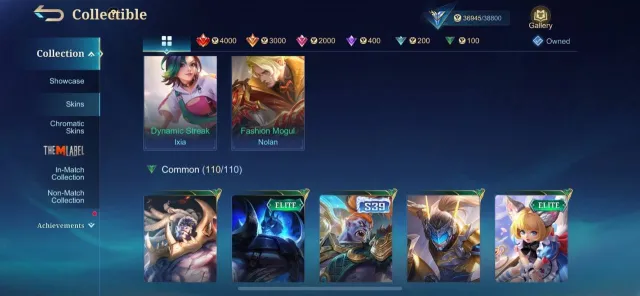 #AN2 315 skins | 100 heroes | JJK Megumi Fushiguro | Natalia's collectible skin | Sale, Rank: Epic, Level: 25, Win rate: 55%, Heroes: 100, Skins: 315
