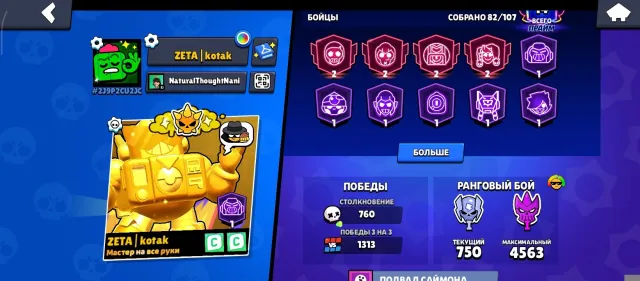 FAT ACCOUNT FOR A SMALL PRICE, 20526 trophies, 82 brawlers, 14 primes