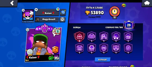 Top account Dustin Nita antivirus 8-bit and many other skins, 53890 trophies, 106 brawlers, 29 primes