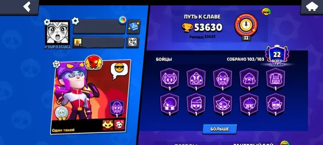 ACCOUNT SINCE 2019 🏆 53630 CUPS🏆 103/103 FIGHTERS🥊🌈 282 SKINS🔥 56 11x STR✅ 36 HYPERS 😈23 TITLES 🥶💫, trophies 53630, brawlers 103, primes 22