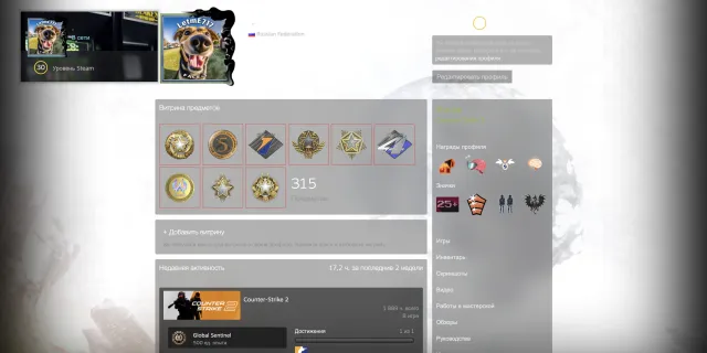 🌈🔥9 МЕДАЛЕЙ🔥✅PREMIER 24.OOO💎🟪ЗЕЛЁНЫЙ TRUST 🟪🔥30 LVL STEAM🔥⭐️КУПЛЕНО МНОГО ОФОРМЛЕНИЯ🔥, Продажа, Инвентарь пуст, Есть PRIME, 20300 CS Rating