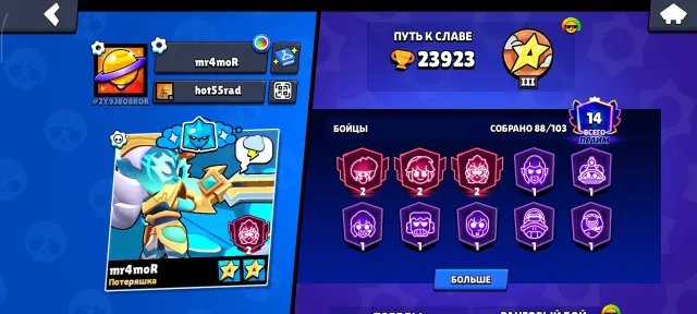 BS account, trophies 24000, brawlers 90, primes 14