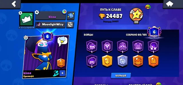 Very top account, 24487 trophies, 80 brawlers, 6 primes
