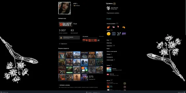 PERSONAL MAIN 36 LVL | Rust 3k hrs + 26 DLC | CS2 2k hrs + 4 MEDALS | Dota 2 2k hrs | DONATE 4291€, Sale, Inventory empty, Has PRIME, 2 CS Rating