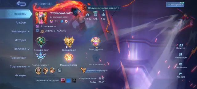 Tired of playing, highest rank 58 stars selling a good account with many skins from each hero, Sale, Rank: Epic, Level: 68, Win rate: 49%, Heroes: 150, Skins: 426