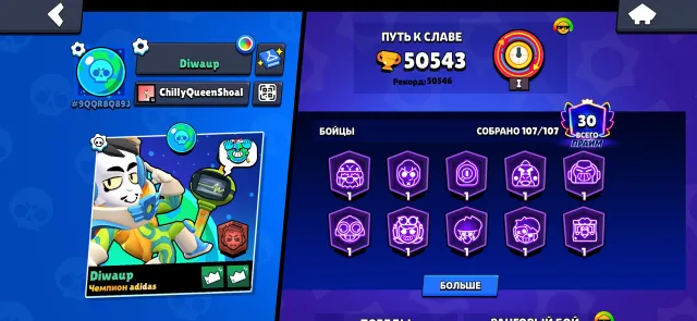 🌍2019🌍🌟107/107🌟🏆50543🏆🌻 33 11 POWER; 🌻GOOD SKINS✅GOOD LEVELING✅ RARE SKINS AND ICONS, 50543 trophies, 107 brawlers, 30 primes