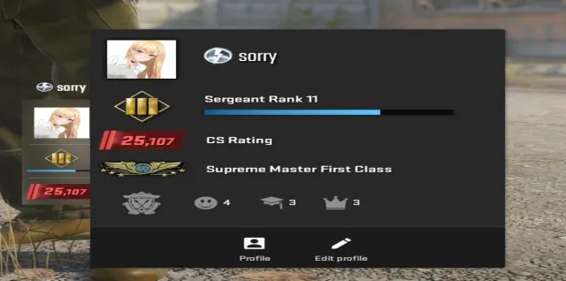 CS2 | Premier 25,100+ Supreme in Duo | Native Email (OG EMAIL) | Full Access, Sale, Empty Inventory, Has PRIME, 25107 CS Rating, Competitive