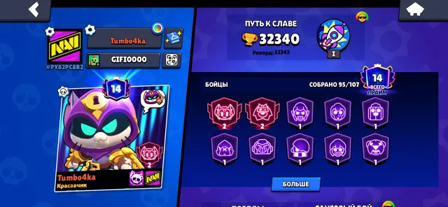 😍Good account in Brawl Stars for a good game, 32340 trophies, 95 brawlers, 14 primes