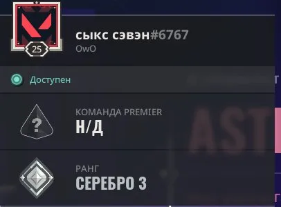 25 УРОВЕНЬ🔥 АККАУНТ VALORANT ★ Серебро 3 ★ ★ ПОЛНЫЙ ДОСТУП 🔥, Продажа, Серебро 3, Агентов: 10, Скинов: -1