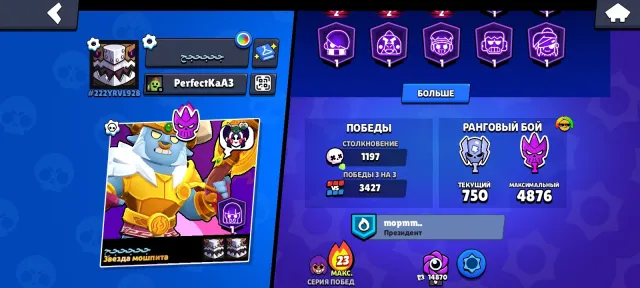 AK old school, since 2024, there are a lot of different skins 🤑🤑🤑, trophies 34500, brawlers 93, primes 13