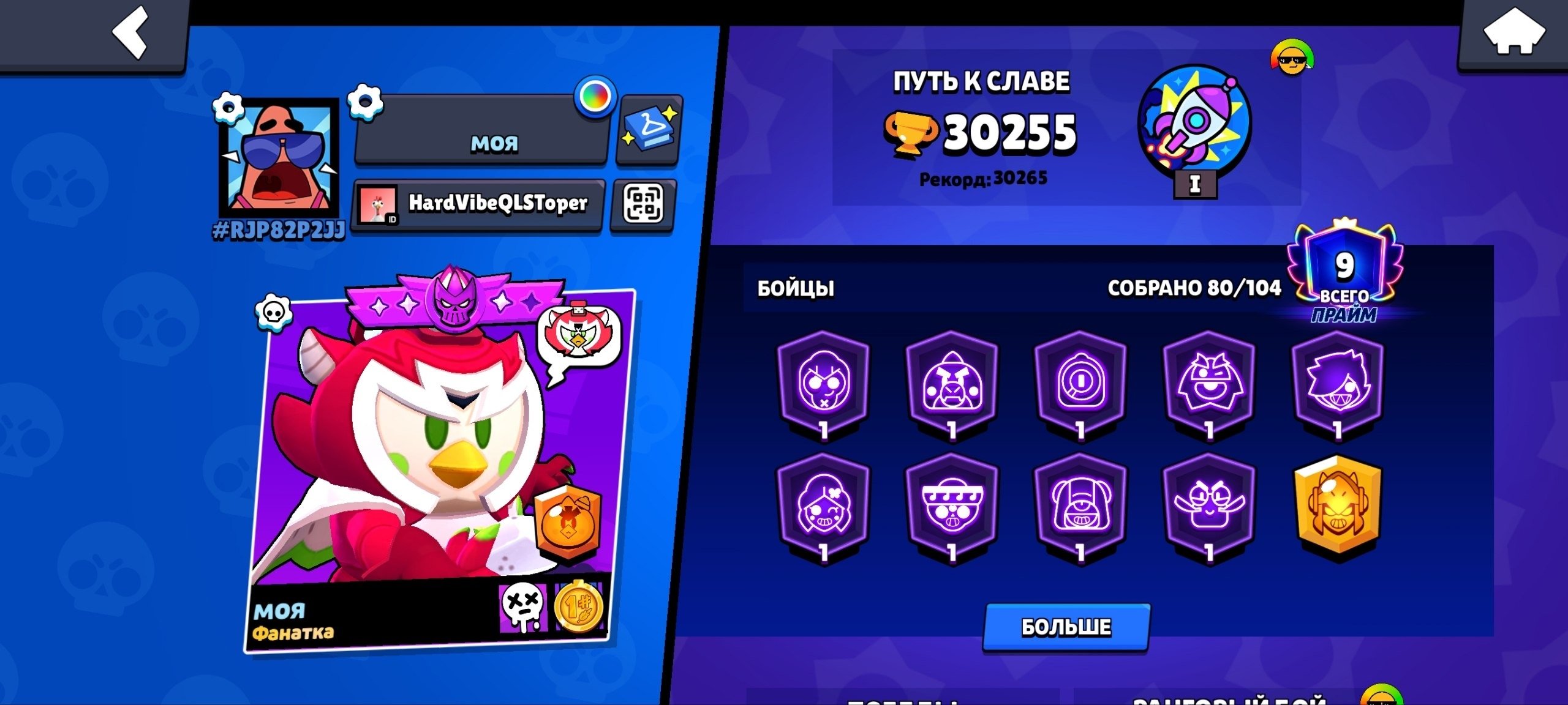 the first thing you should know about this project before buying, trophies 30255, brawlers 80, primes 9