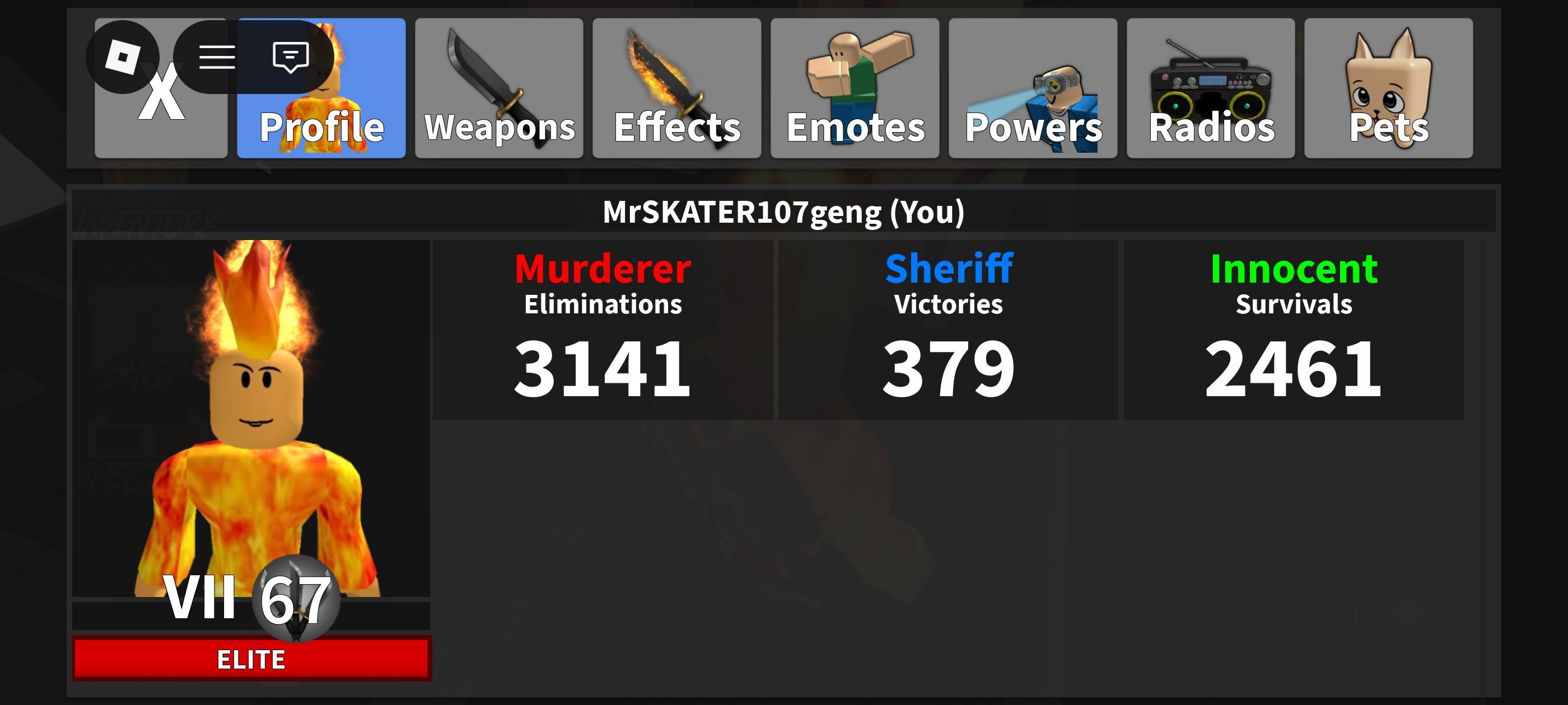 🔥🎮 Top-tier Roblox account with a Total score of 10+ – the perfect gift for a boy 🎁👦, Sale, Voice chat: No