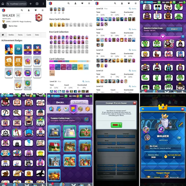 Level 70 • 12k trophies • 19 evolution • 13 maxed • 25 elite • 38 lvl 14 • 70 emotes • 10 Tower, 1 арена, 70 уровень, 12000 кубков, 25 карт, 13 лег, Есть