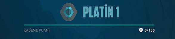 Some Champion Skins Valuable Good Price Account, Sale, Platinum 1, Agents: 29, Skins: 284