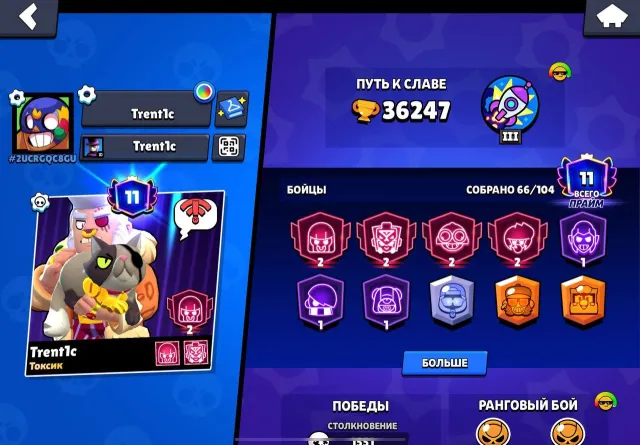 PERSONAL ACCOUNT 11 PRIME 36247 CUPS 333 GEMS, trophies 36247, brawlers 66, primes 11