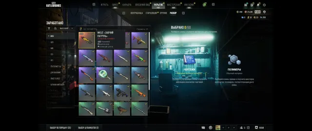 💯🔝457 LVL🔥MK12 | BUNNY PATROL 1 LVL 🔥 200 G-Coin💯🔝, Yes BATTLEGROUNDS Plus